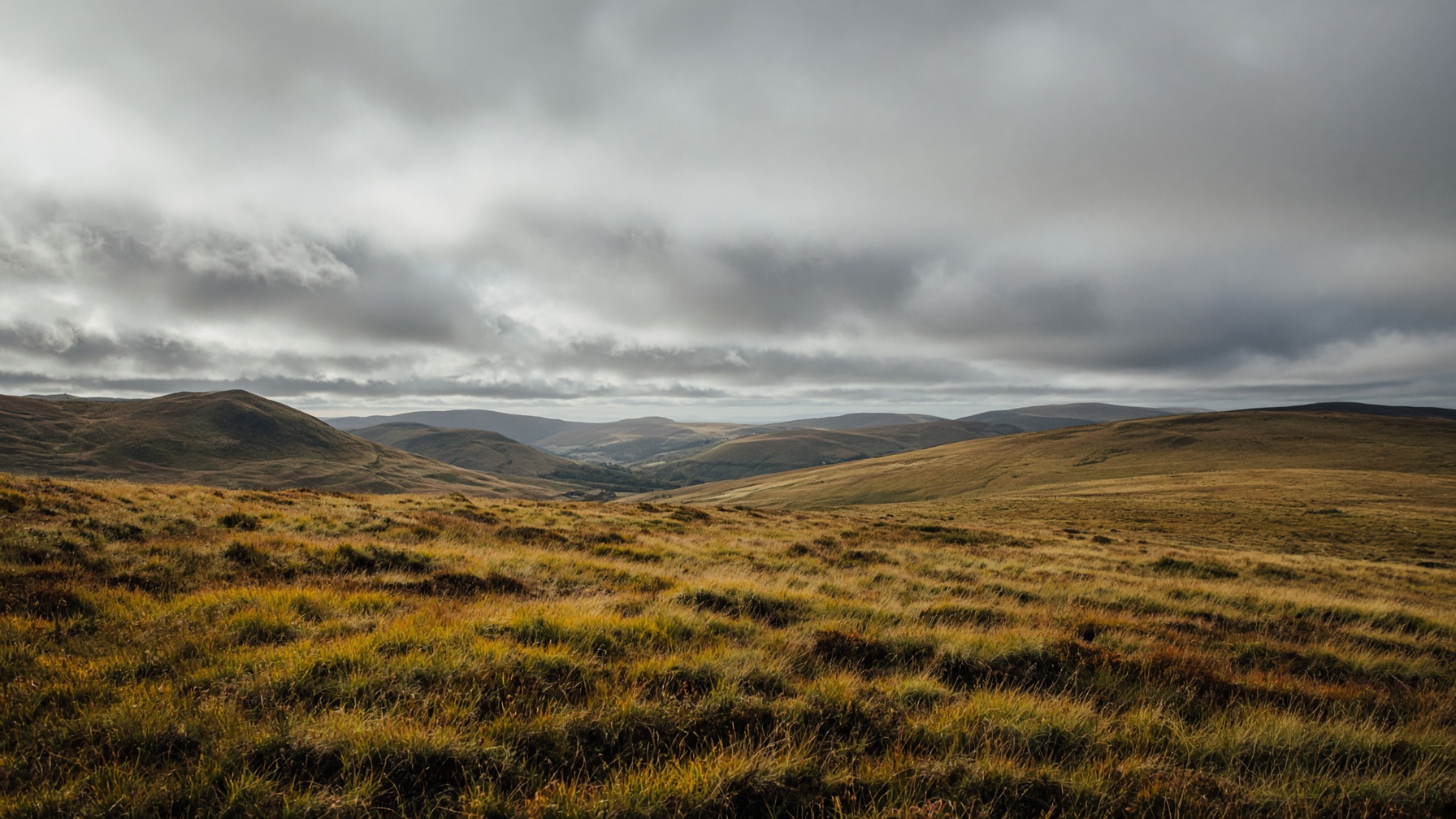 Empty moorland under a silver sky